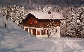 Charming Chalet In Ventron With Terrace