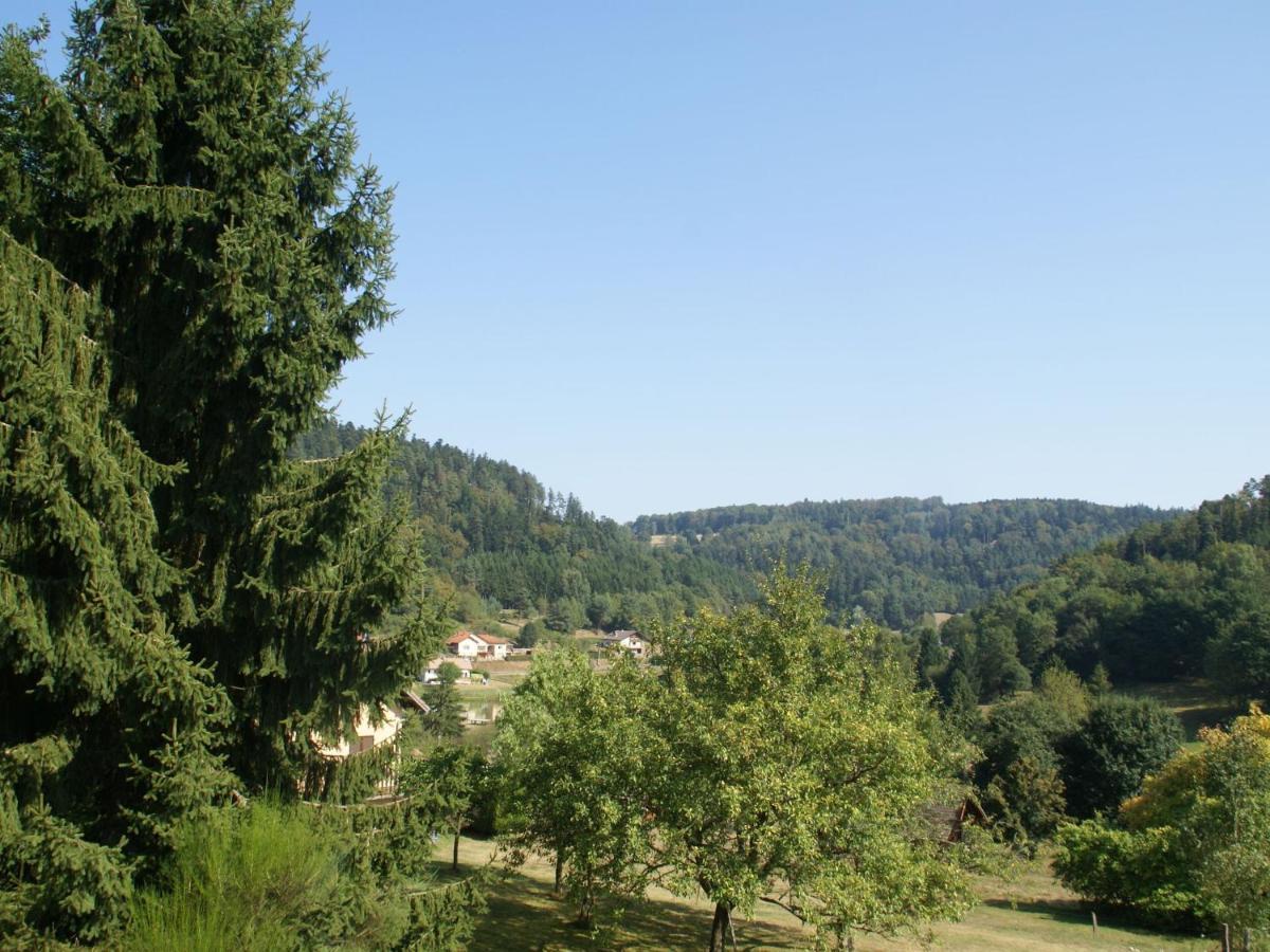 Charming Chalet In Ventron With Terrace Kamer foto