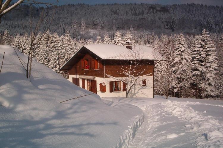 Charming Chalet In Ventron With Terrace Buitenkant foto